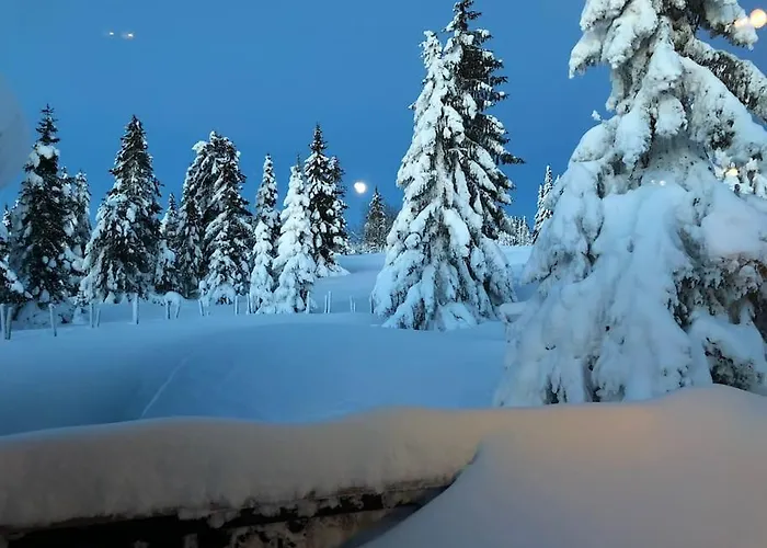 公寓 Sentralt Pa Sjusjoen, 11 Sengeplasser