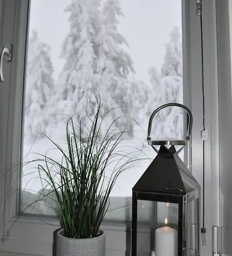 Sentralt Pa Sjusjoen, 11 Sengeplasser 公寓 *