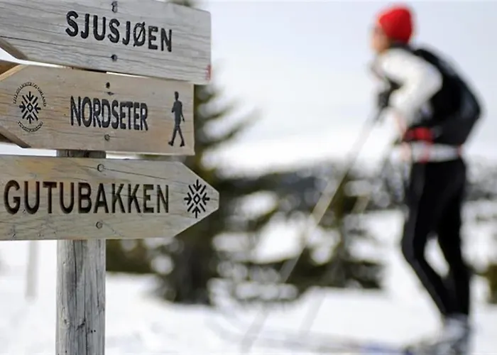 Sentralt Pa Sjusjoen, 11 Sengeplasser 公寓 Sjusjøen