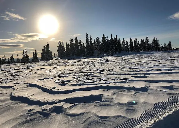 Sentralt Pa Sjusjoen, 11 Sengeplasser 公寓 *