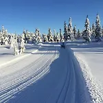 Sentralt Pa Sjusjoen, 11 Sengeplasser דירה *