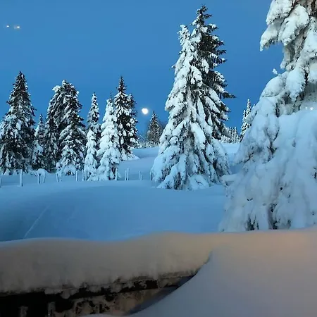 Daire Sentralt Pa Sjusjoen, 11 Sengeplasser