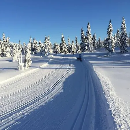 Sentralt Pa Sjusjoen, 11 Sengeplasser 아파트 *