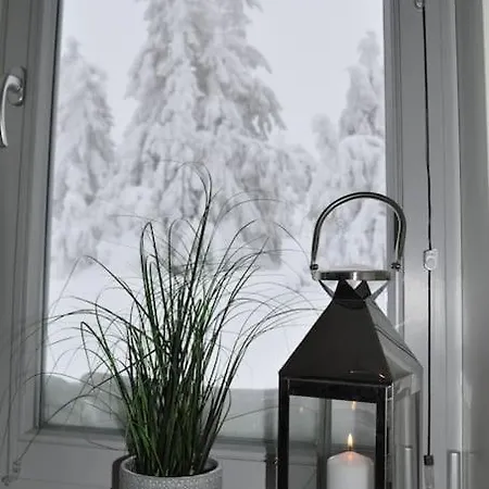 Sentralt Pa Sjusjoen, 11 Sengeplasser Daire *