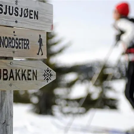 Sentralt Pa Sjusjoen, 11 Sengeplasser 아파트 Sjusjøen