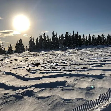 Sentralt Pa Sjusjoen, 11 Sengeplasser Daire *